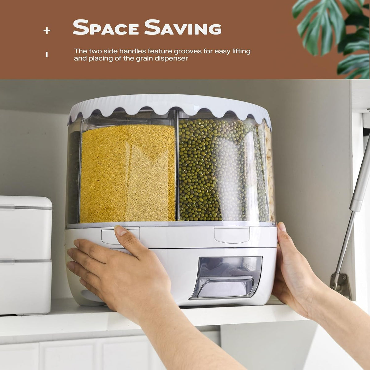 Grain Dispenser, 360° Rotating Grain Storage, 6 Grid Food Dispenser
